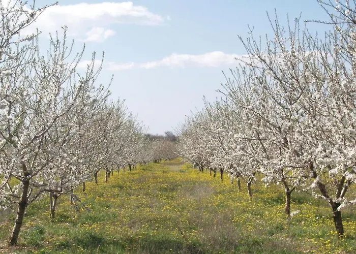 New! Masa With Heated Pool Near Krka National Park Casa de Férias *